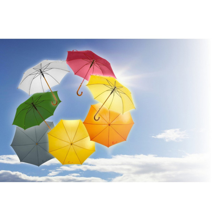 V4201_A.jpg