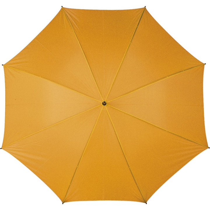 V4212-07_IPN01.jpg