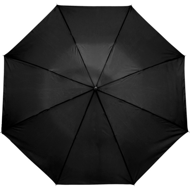 V4215-03_IPN01.jpg