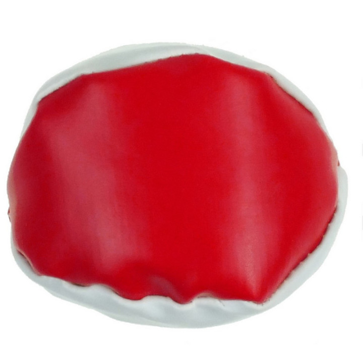 V2441-00_AAB06.jpg