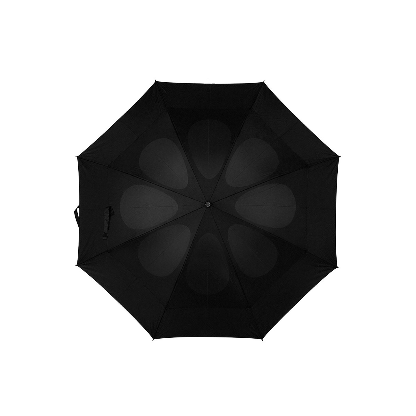 V4213-03_IPN02.jpg