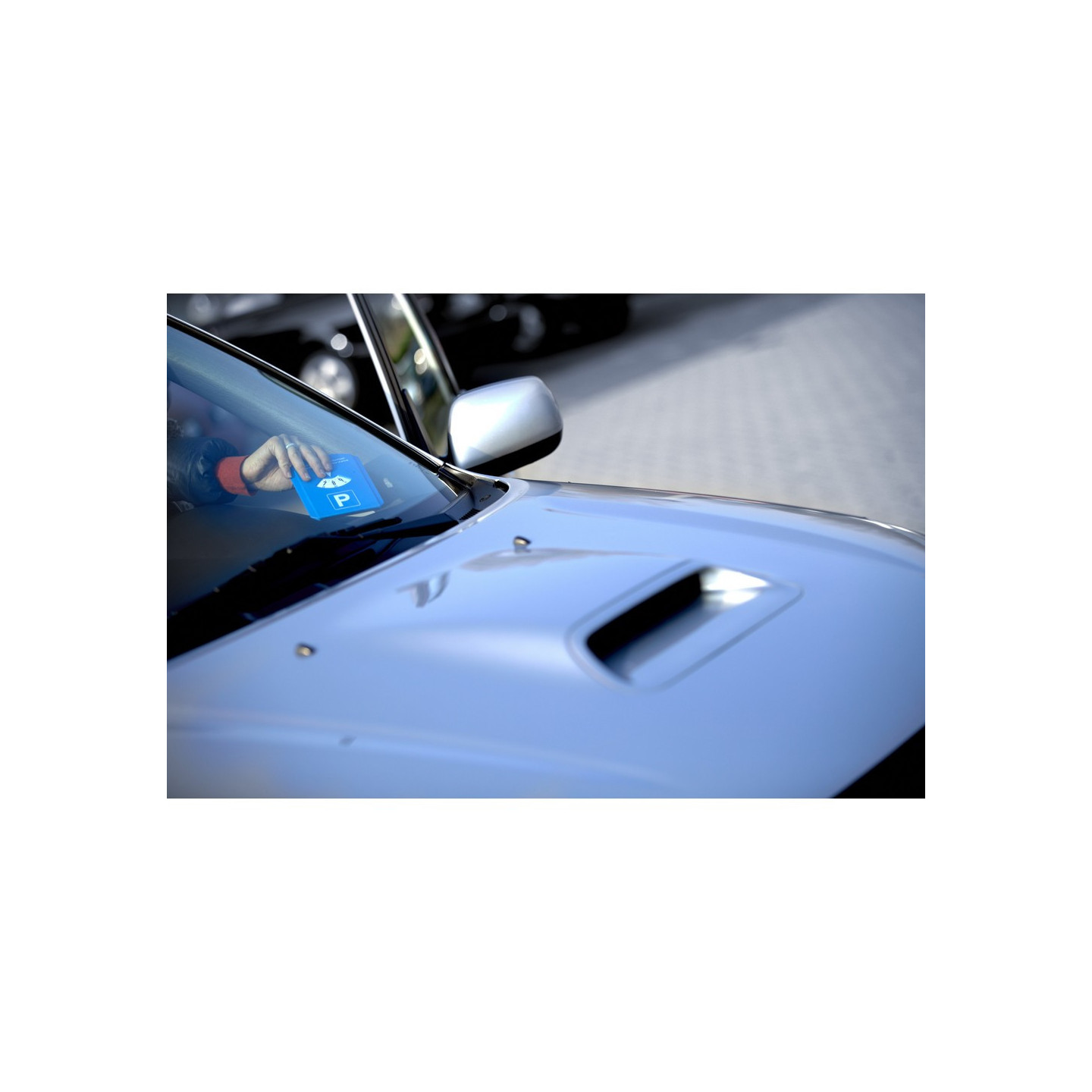 V8713_C.jpg