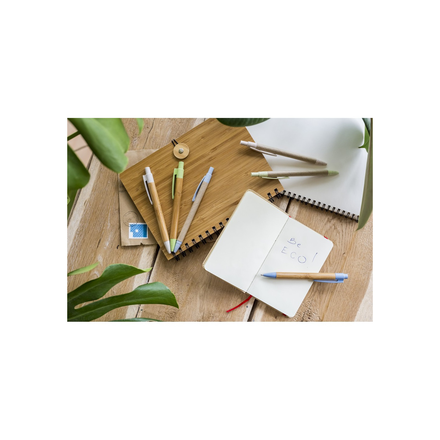 V1947_B.jpg