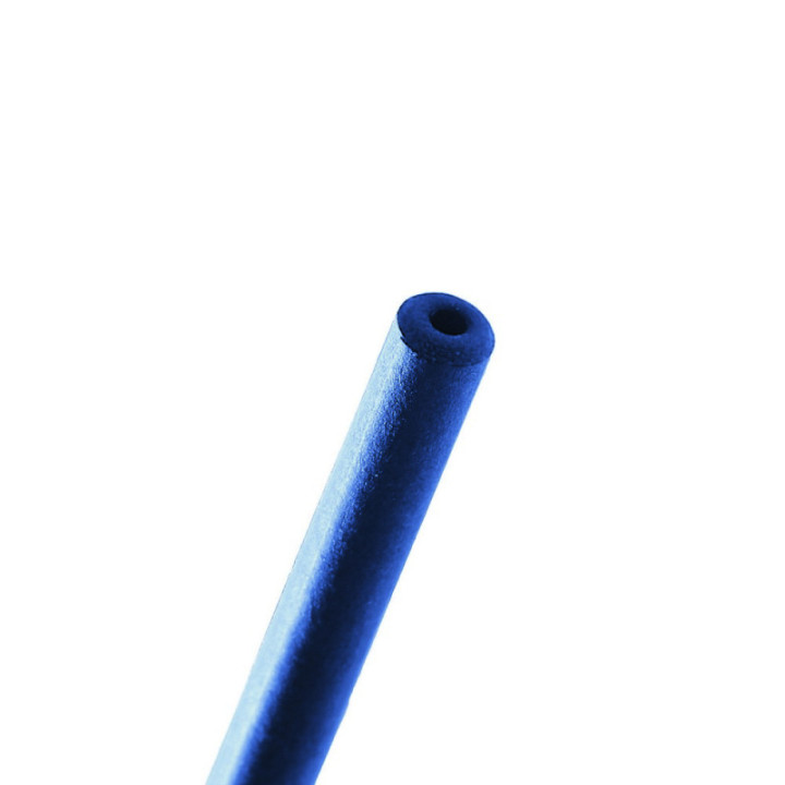 V1969_2.jpg