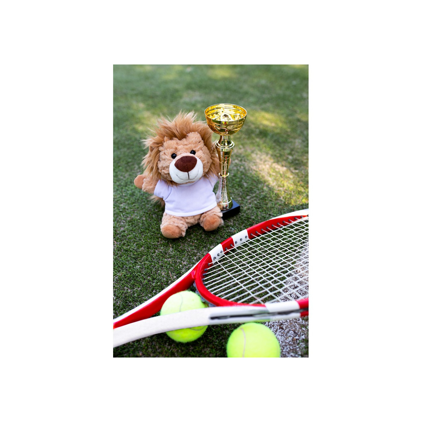 HE824_B.jpg