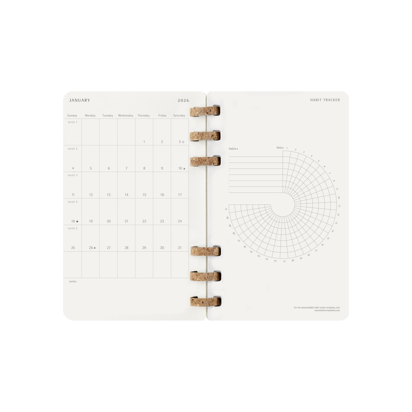 VM790.2026-03_INS09.jpg
