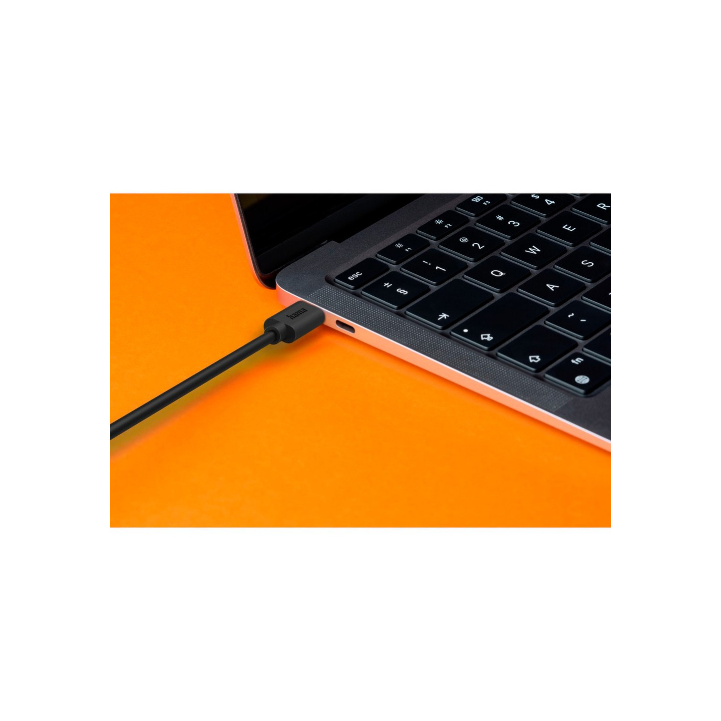 VH017-03_ATM01.jpg