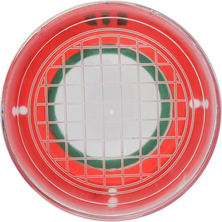 VB298-10_IUN01.jpg