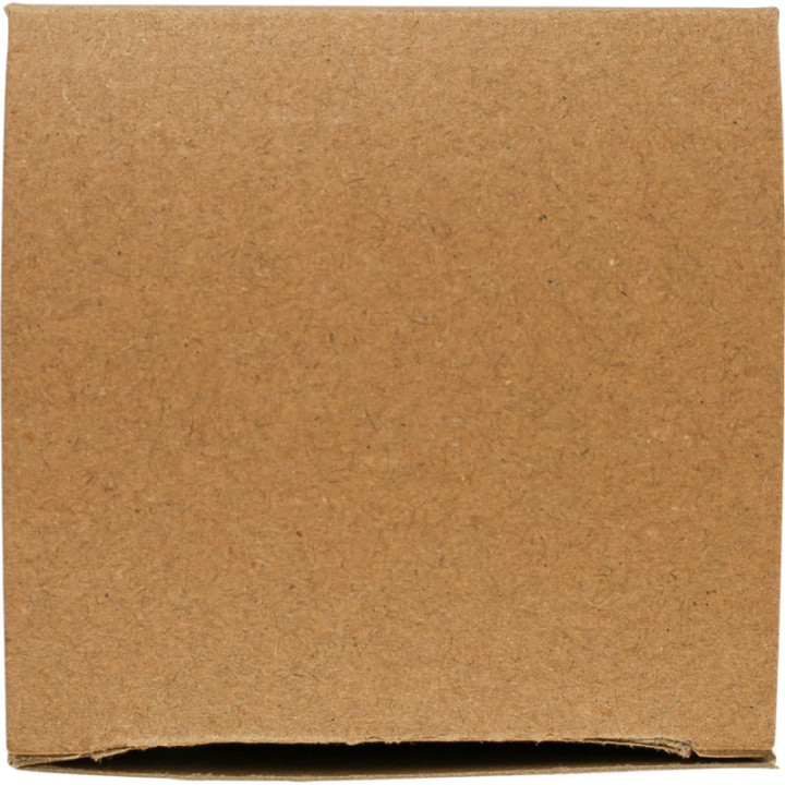 VB298-10_PTP01.jpg