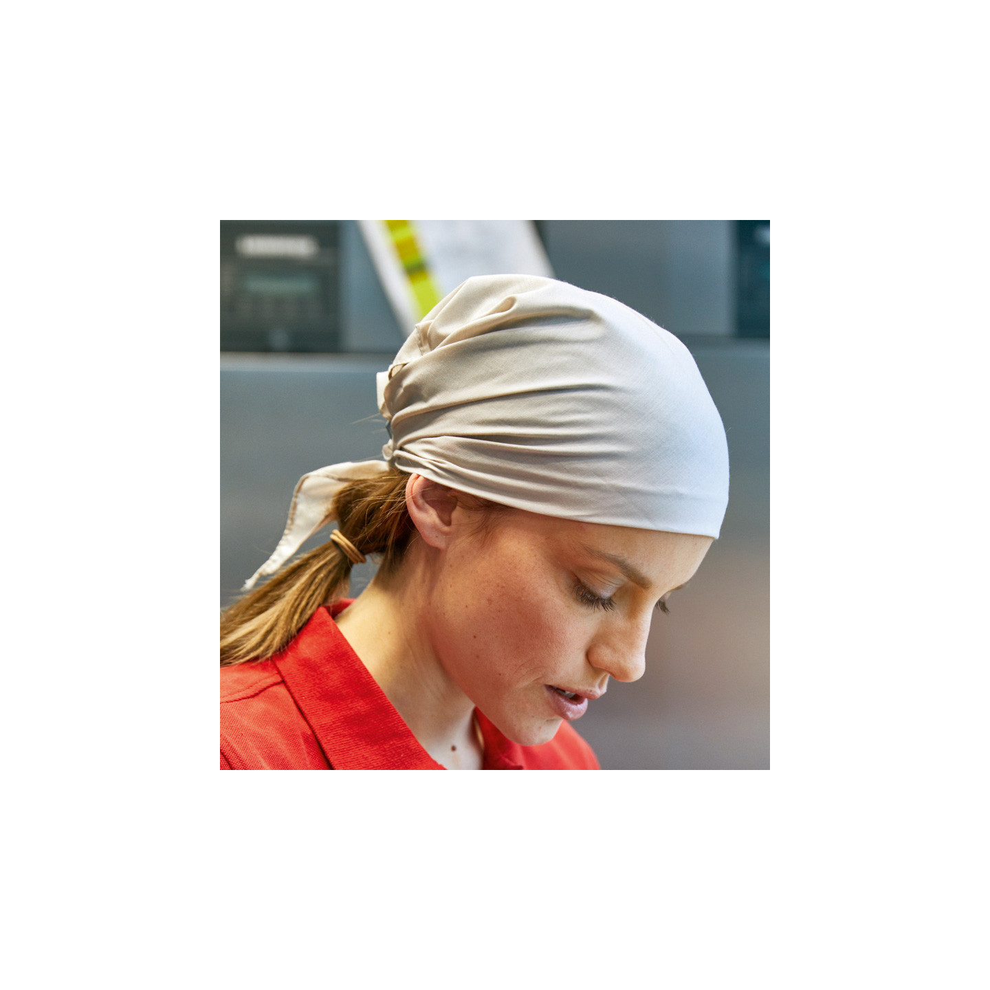 Bandana_triangle_MB6524.jpg