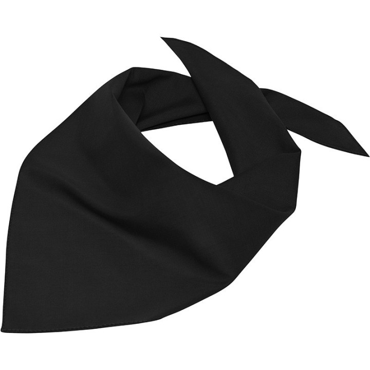 Bandana_triangle_noir_Gauche_MB6524.jpg