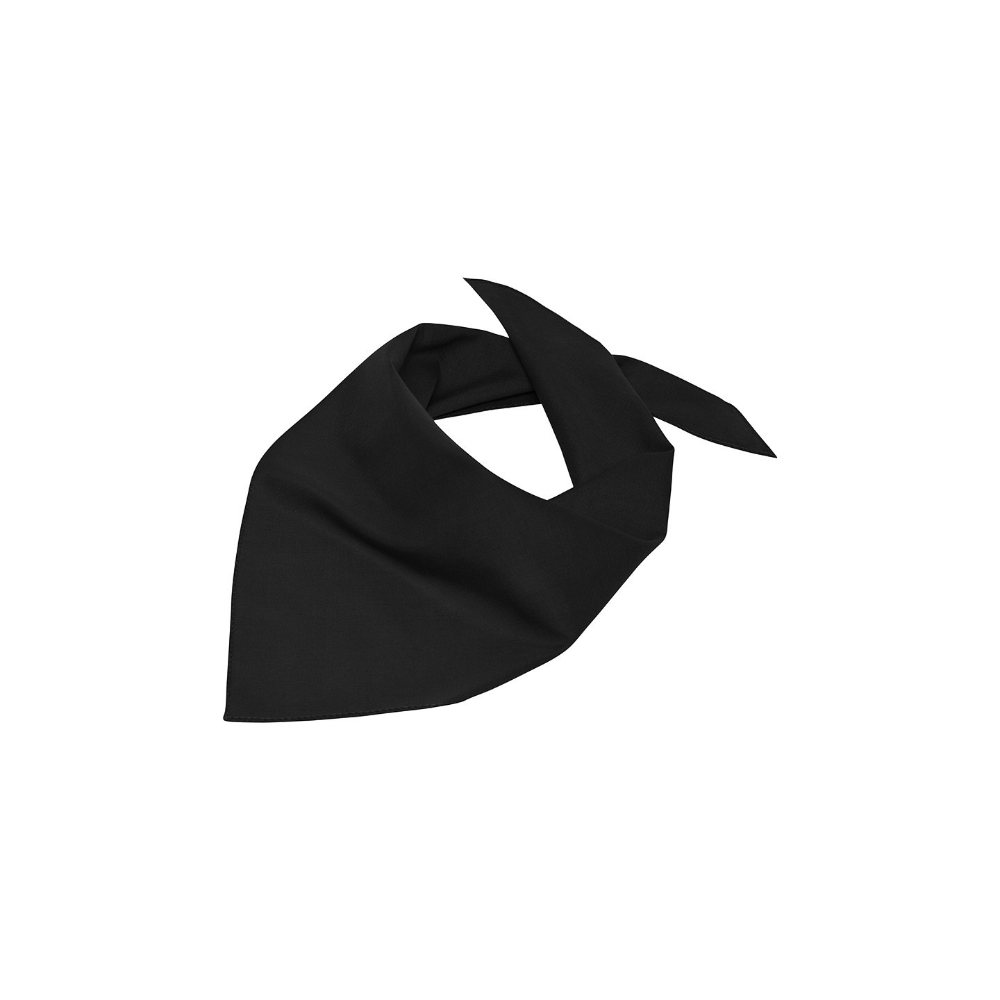 Bandana_triangle_noir_Gauche_MB6524.jpg