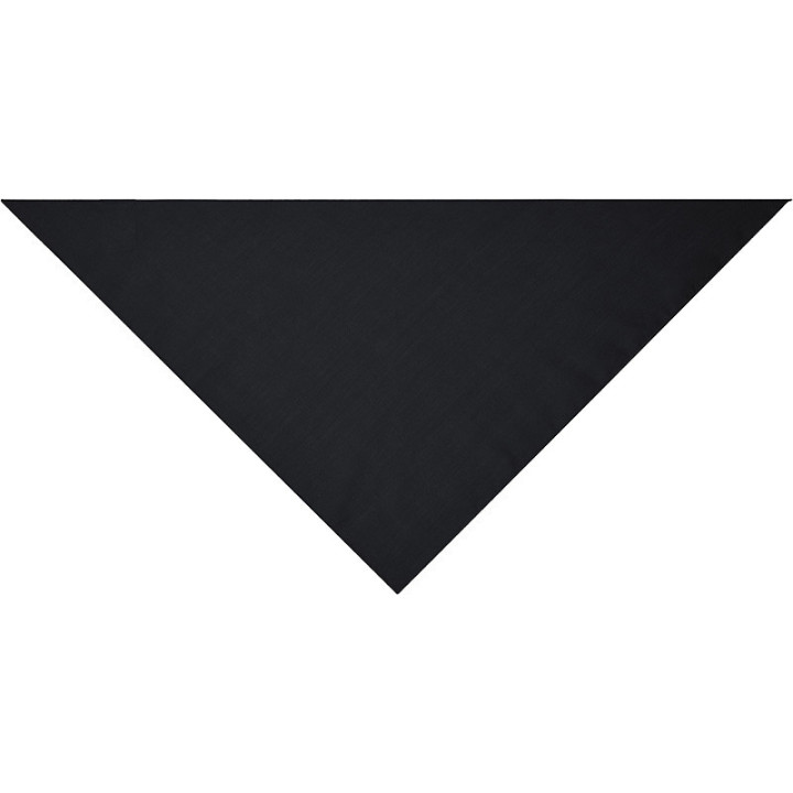 Bandana_triangle_noir_Devant_MB6524.jpg